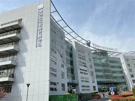 qingdao intelligent&precise electronics co.,ltd.|Qingdao industrial park unveils new chapter in AI.